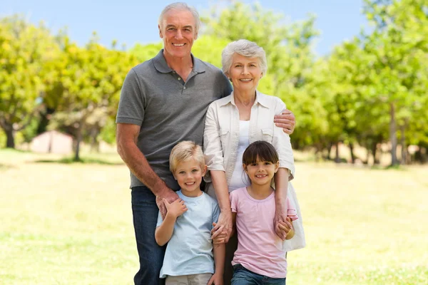 Großeltern mit ihren Enkeln im Park — Stockfoto