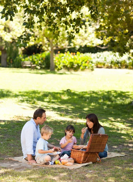 Lachende familie picknicken in het park — Stockfoto