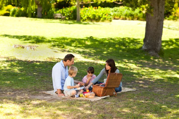Leende familj picknick i parken — Stockfoto
