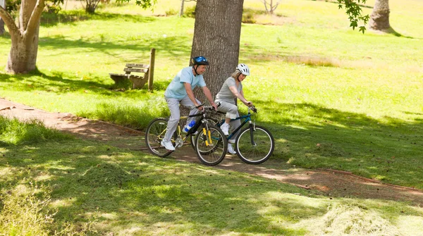 Пара пенсионеров катается на горном велосипеде — стоковое фото