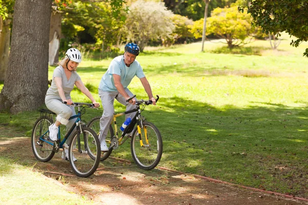 退休的夫妇骑山地自行车外 — 图库照片