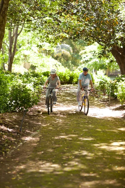 老年夫妇骑山地自行车外 — 图库照片