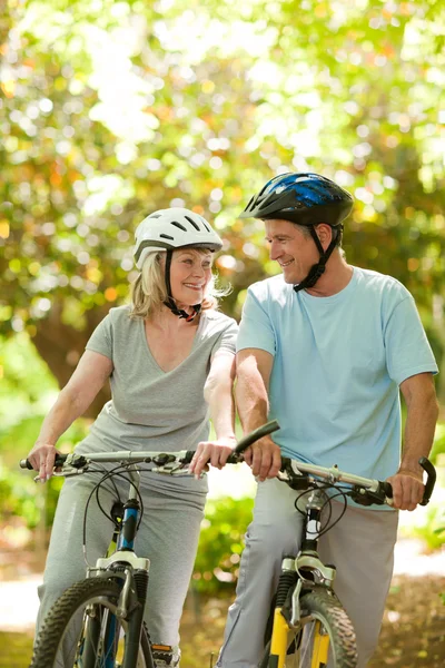 Para z ich rowery w drewnie — Zdjęcie stockowe