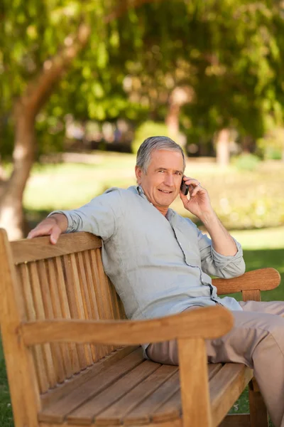 Olgun adam parkta telefon ederek — Stok fotoğraf