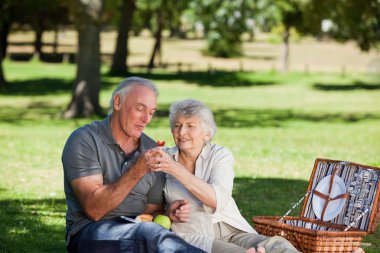 Retired couple picnicking in the garden clipart