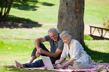 Senior couple picnicking in the garden clipart