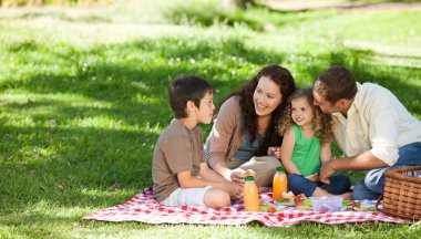 Family picnicking together clipart