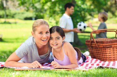 Family picnicking in the park clipart