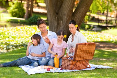 Lovely family picnicking in the park clipart