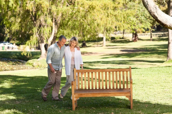 Portrait of a lovely couple behind the bench — Stock Photo, Image