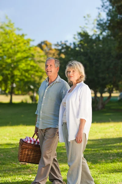 Rentnerpaar auf der Suche nach einem Picknickplatz — Stockfoto
