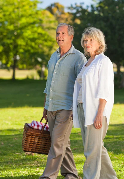 Retired couple looking for a place to picnicking — Stock Photo, Image