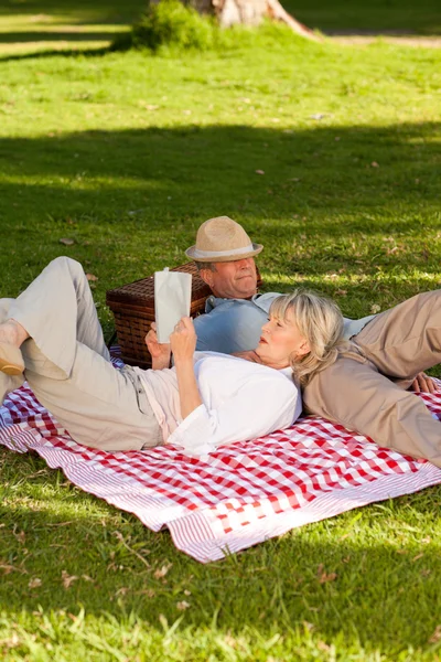 여자는 공원에서 그녀의 남편이 자 고 있는 동안 읽기 — 스톡 사진