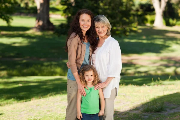 Smiling family looking at the camera in the park — Stock Photo, Image