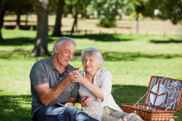 退休的夫妇在花园里野餐 — 图库照片