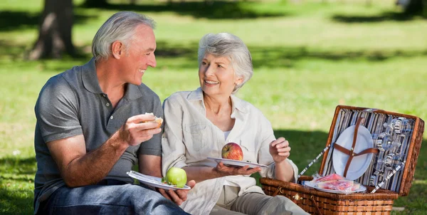 Rentnerpaar picknickt im Garten — Stockfoto