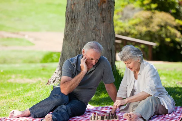 Mature couple picnicking in the garden — Stock Photo, Image