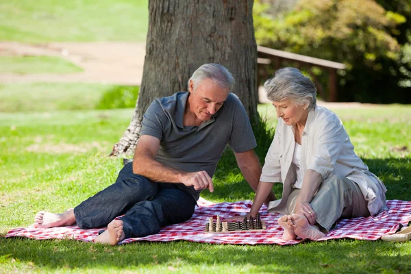 Mature couple picnicking in the garden — Stock Photo, Image