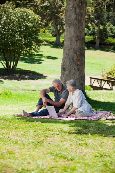 Senior couple picnicking in the garden — Stock Photo, Image
