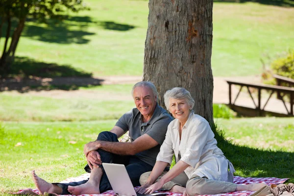 庭でピクニック年配のカップル — ストック写真