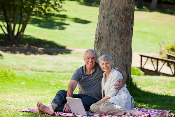 Äldre par picknick i trädgården — Stockfoto