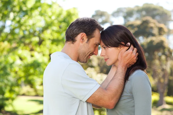Beautiful lovers in the park — Stock Photo, Image