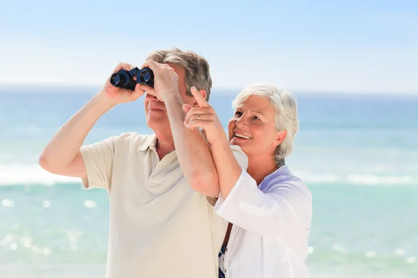 Старшая пара наблюдает за птицами на пляже — стоковое фото