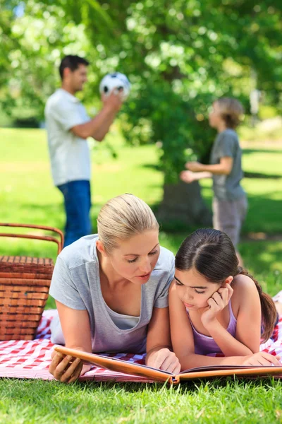 행복 한 가족 공원에서 피크닉 — 스톡 사진