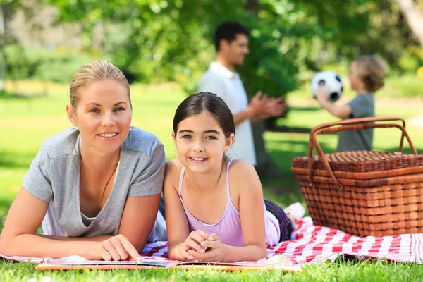 Family picnicking in the park — Stock Photo, Image