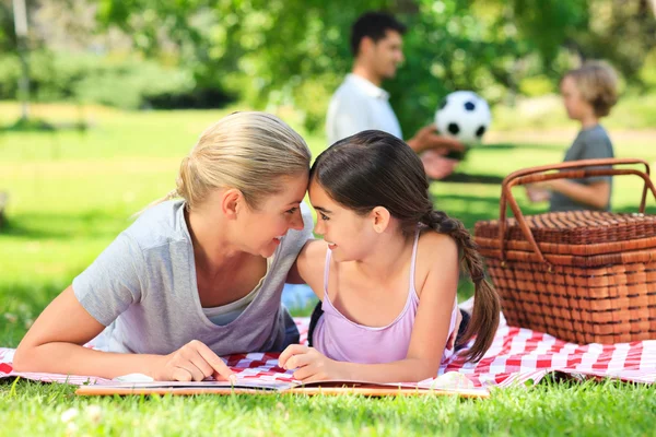 Family picnicking in the park — Stock Photo, Image