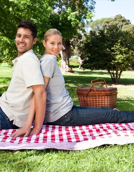 Älskare picknick i parken — Stockfoto