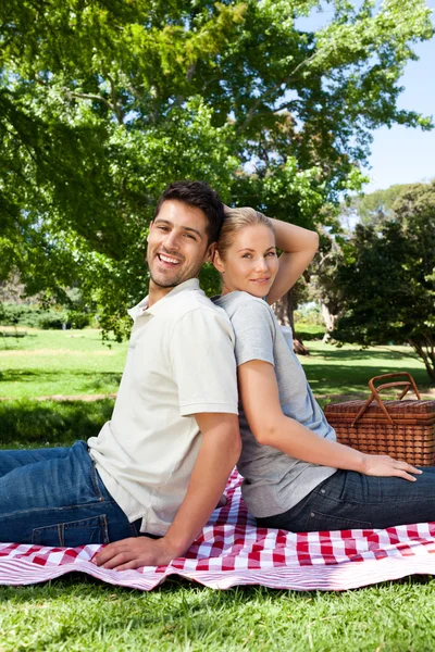 Lovers picnicking in the park — Stock Photo, Image