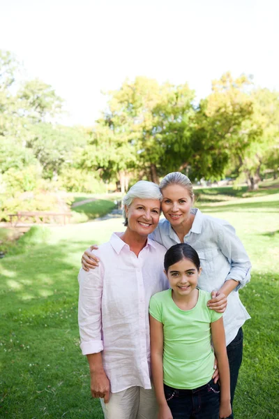 Cute family in the park — Stock Photo, Image