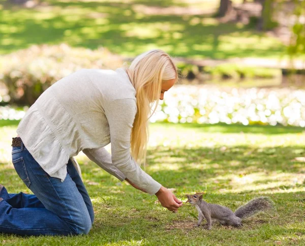 Bella donna con uno scoiattolo — Foto Stock