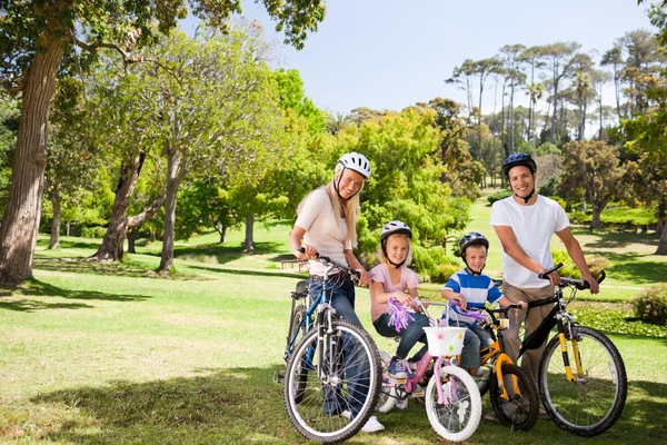 Familjen i parken med sina cyklar — Stockfoto
