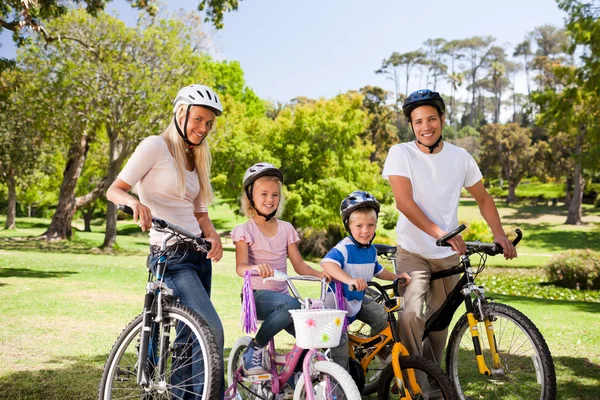 Семья в парке с велосипедами — стоковое фото