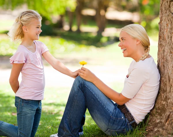 Daughter offering a flower to her mother — Stock Photo, Image