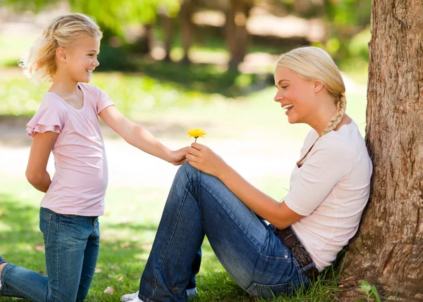 Hija ofreciendo una flor a su madre —  Fotos de Stock