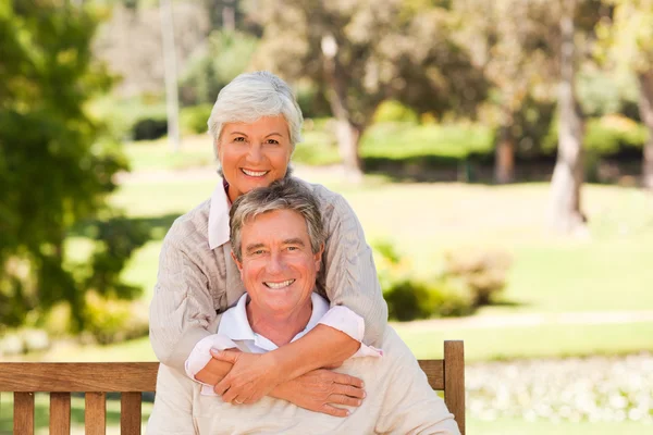Äldre par i parken — Stockfoto
