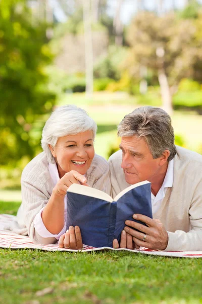 Paar liest im Park ein Buch — Stockfoto