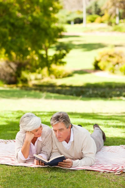 Couple reading a book in the park — Stock Photo, Image