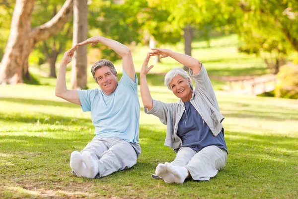 Idős házaspár csinál a nyúlik a parkban — Stock Fotó