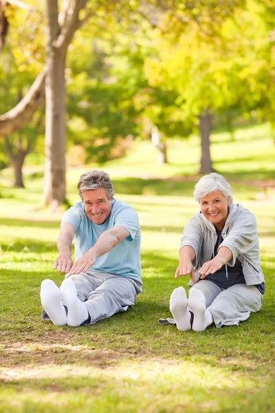 Пожилая пара, занимающаяся растяжками в парке — стоковое фото