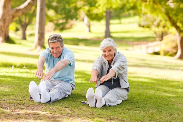 Elderly couple doing their stretches in the park — Stock Photo, Image
