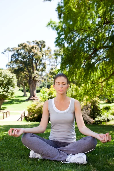 在公园练习瑜伽的年轻女子 — 图库照片