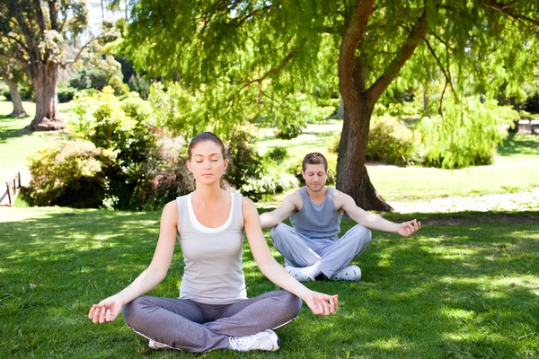 Пара практикующих йогу в парке — стоковое фото
