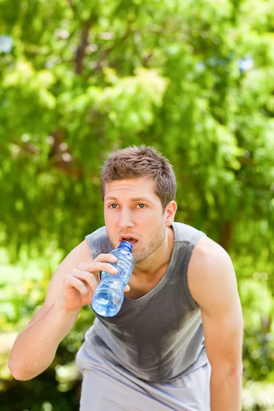 Uomo sportivo che beve acqua nel parco — Foto Stock