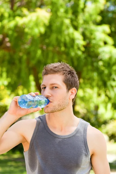 Sportieve man drinkwater in het park — Stockfoto
