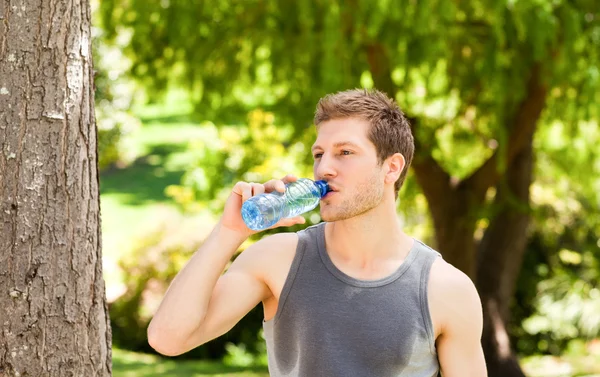 Спортивный человек пьет воду в парке — стоковое фото