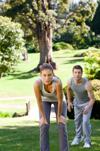 Sporty lovers in the park — Stock Photo, Image